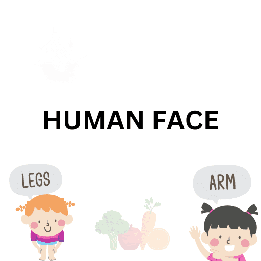 Human Face